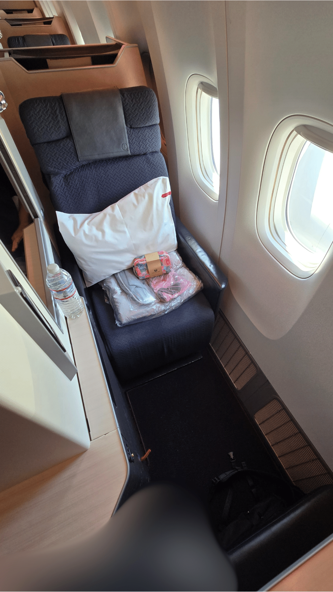 JAL SKY SUITE 窓側席